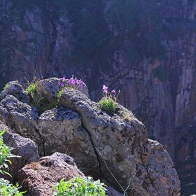 ������������.