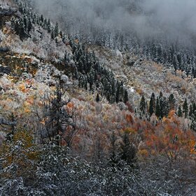 ����������� ������ �����.