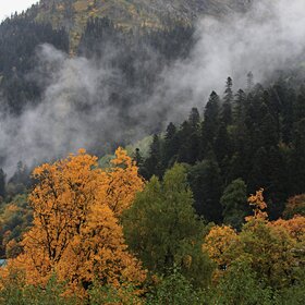 ���������� �����.