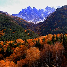 ������� ����� �����