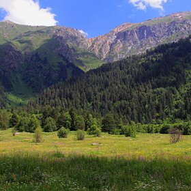 � ���������.