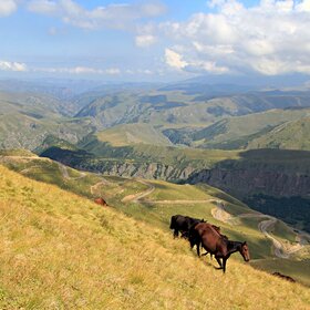 ������������, �������� �����