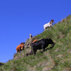 ������ ������.