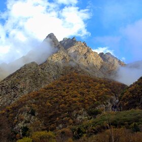 ������ ������.