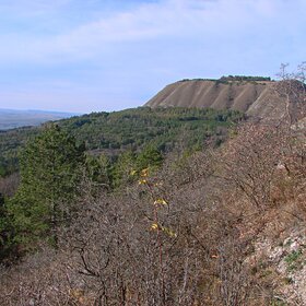 ������������� ������ � �����������.