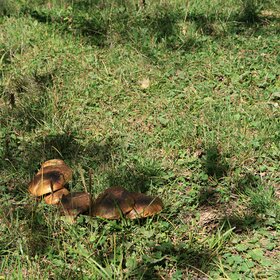 �������.