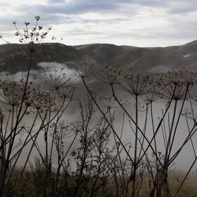 ���������.