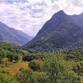 �������-��������.