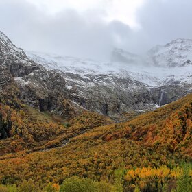 ������������� �� ������� ������