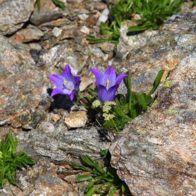 ������������.