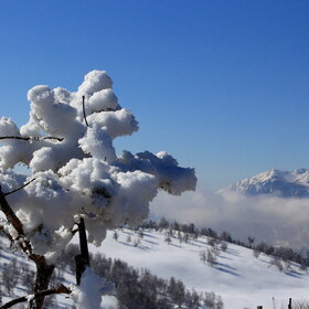 �����. ����.