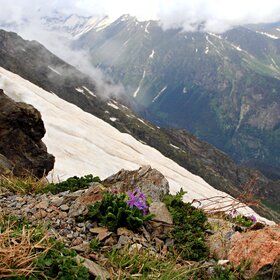 �������, �� ������� ��������.