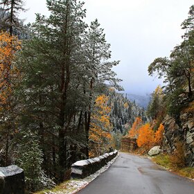 ������ � ���������.