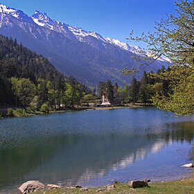 ����� ����-���.