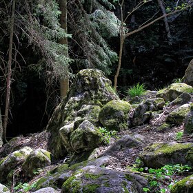 ������ ���.