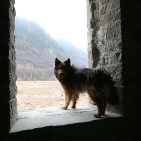 ������� � ������ ���.