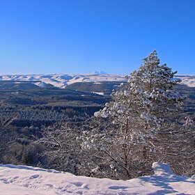 ������������ ����.