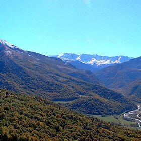 ������ ���������