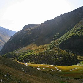 ������ �����.