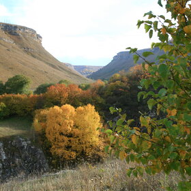 � ������� ���������.