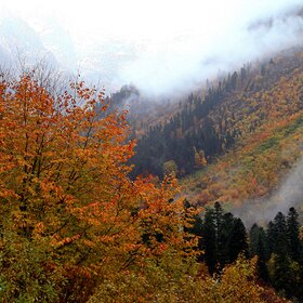 ����� � �����.