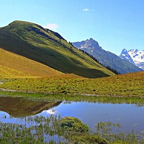 � ���� ��������.