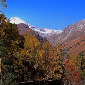 � ��������.