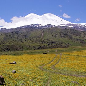 �� ������ ���������.